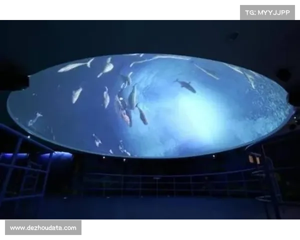 独行侠新主场穹顶投影系统测试投入1.7亿创纪录震撼登场